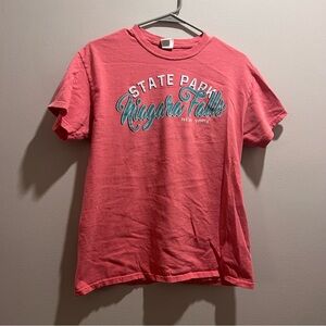 Niagara falls graphic tee (medium)